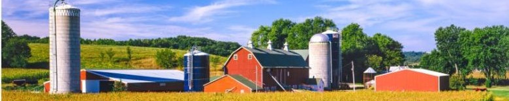 Cover for Cody Ludwig's Obituary