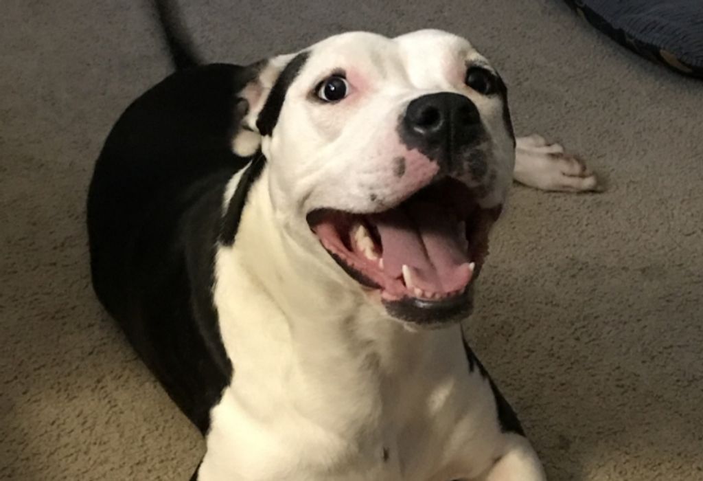 Sage Blackburn Profile Photo