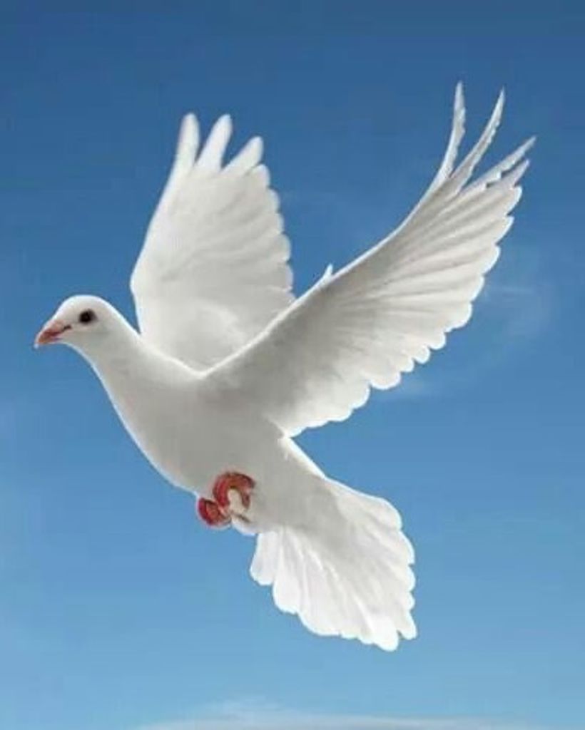 Ms. Jonnye Jeanette Riggan Profile Photo