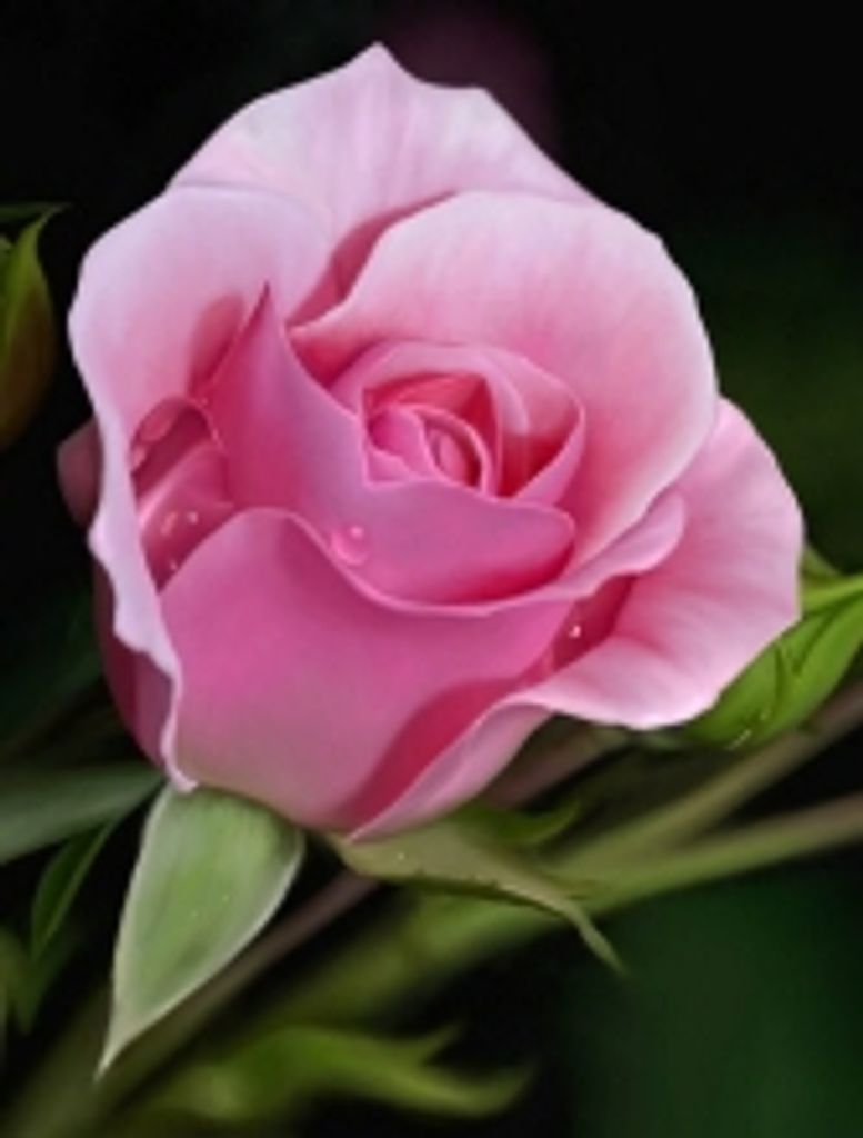 Ruth Evelyn Johnson Profile Photo