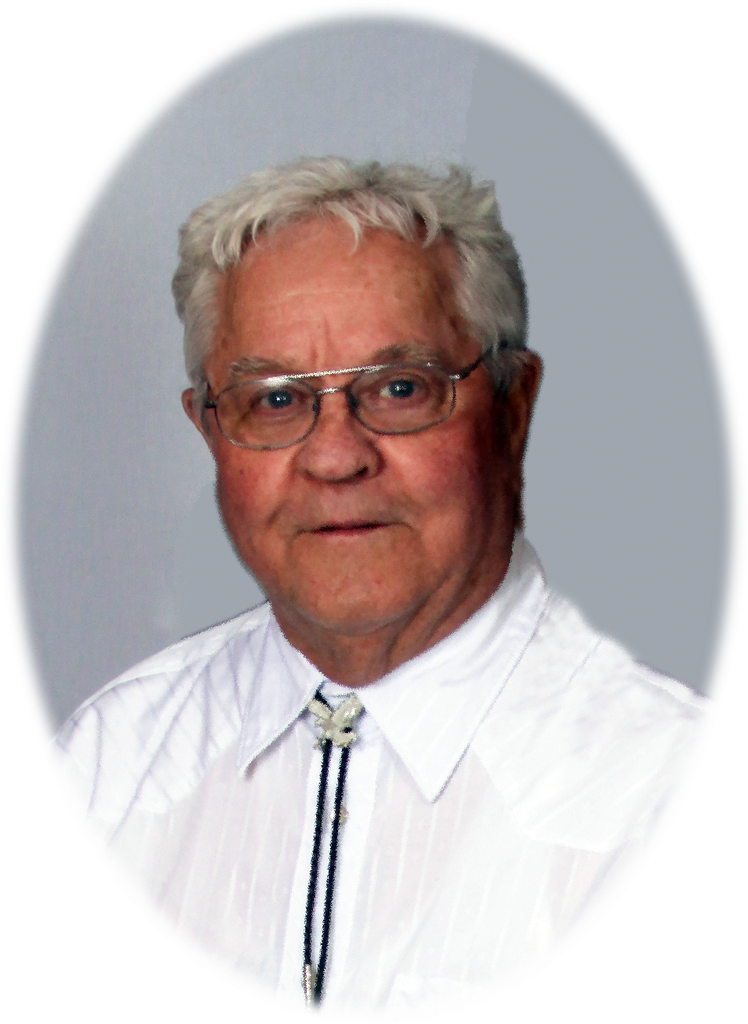 Gerald Lee Borgen