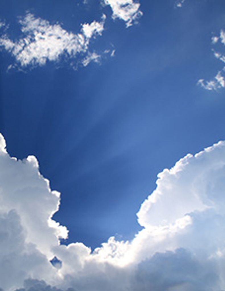 Alondra  Esperanza Cruz Mcgraw