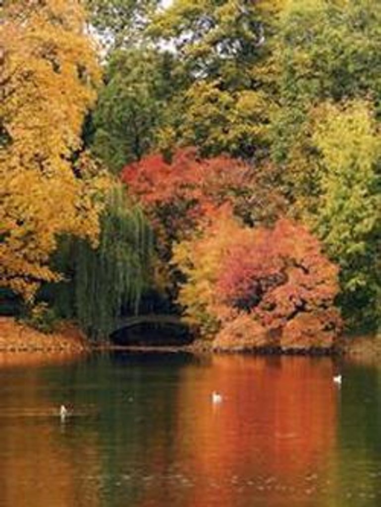 Freddie Joe Miller Profile Photo