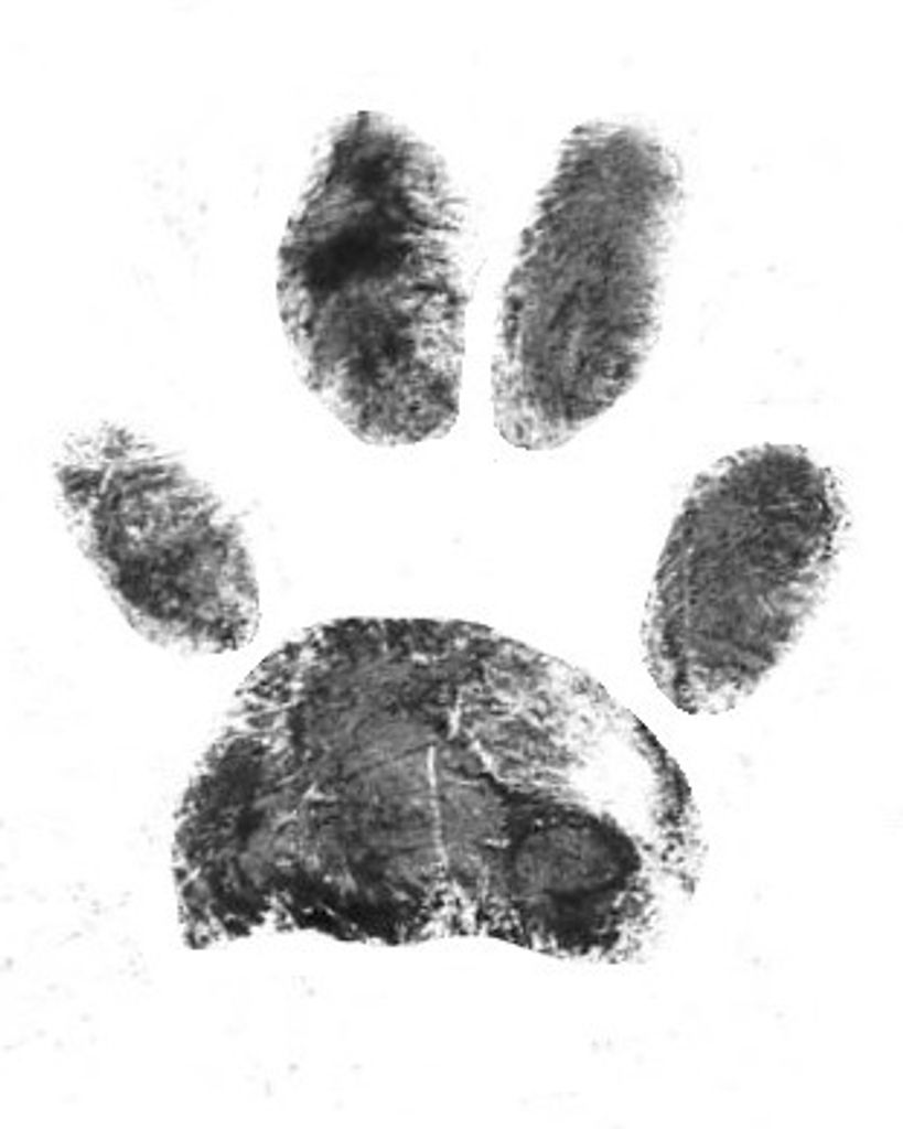 Bailey Portillon Profile Photo