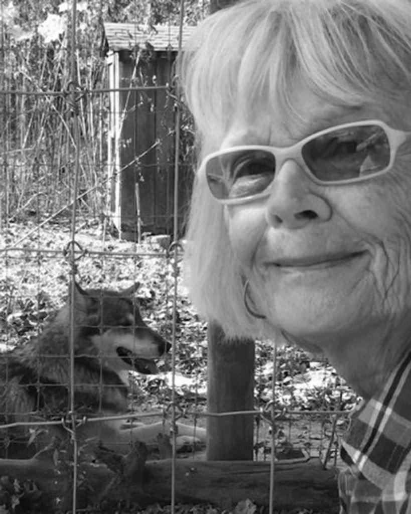 Joan T. Kimball Profile Photo