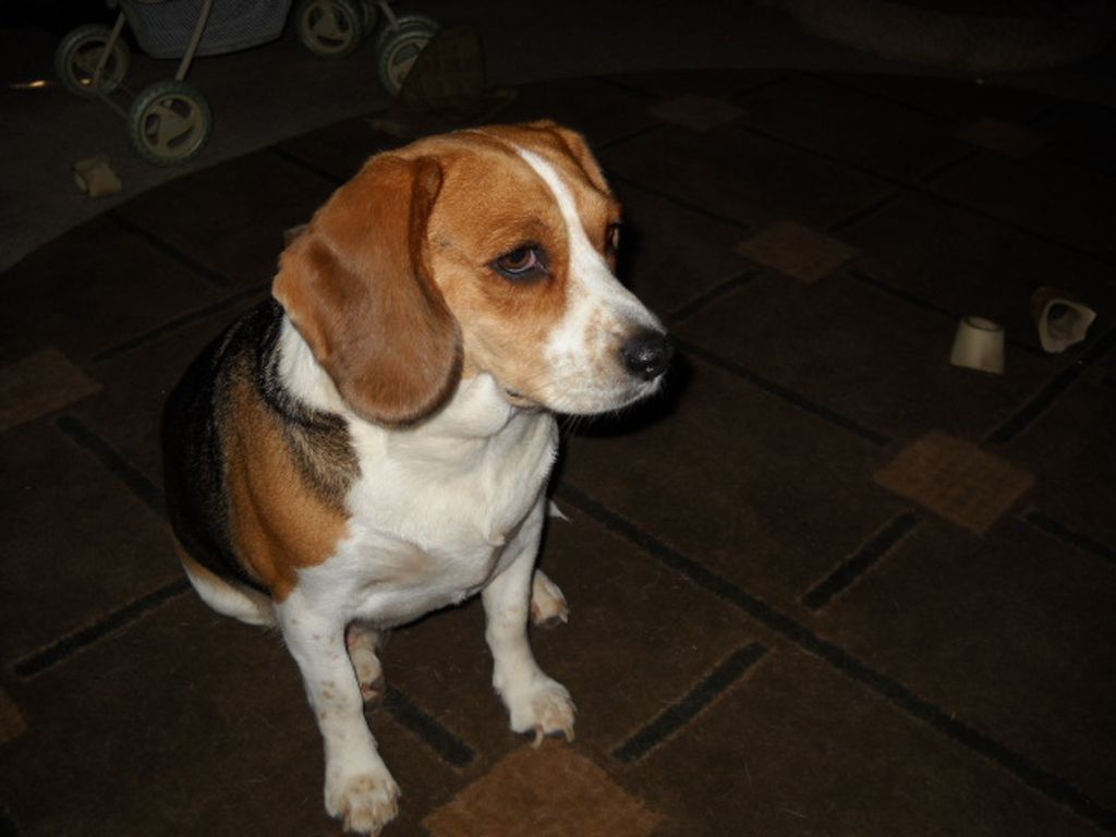 Millie Sydlar Profile Photo