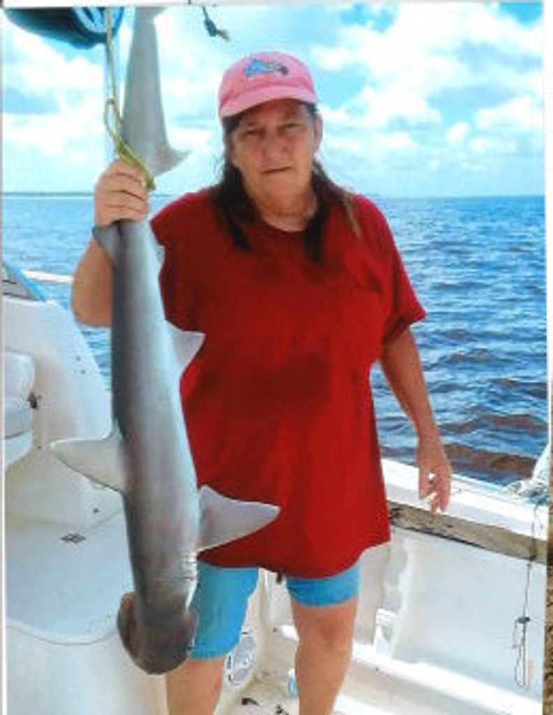 Donna Elaine (Seymour)  Hadden