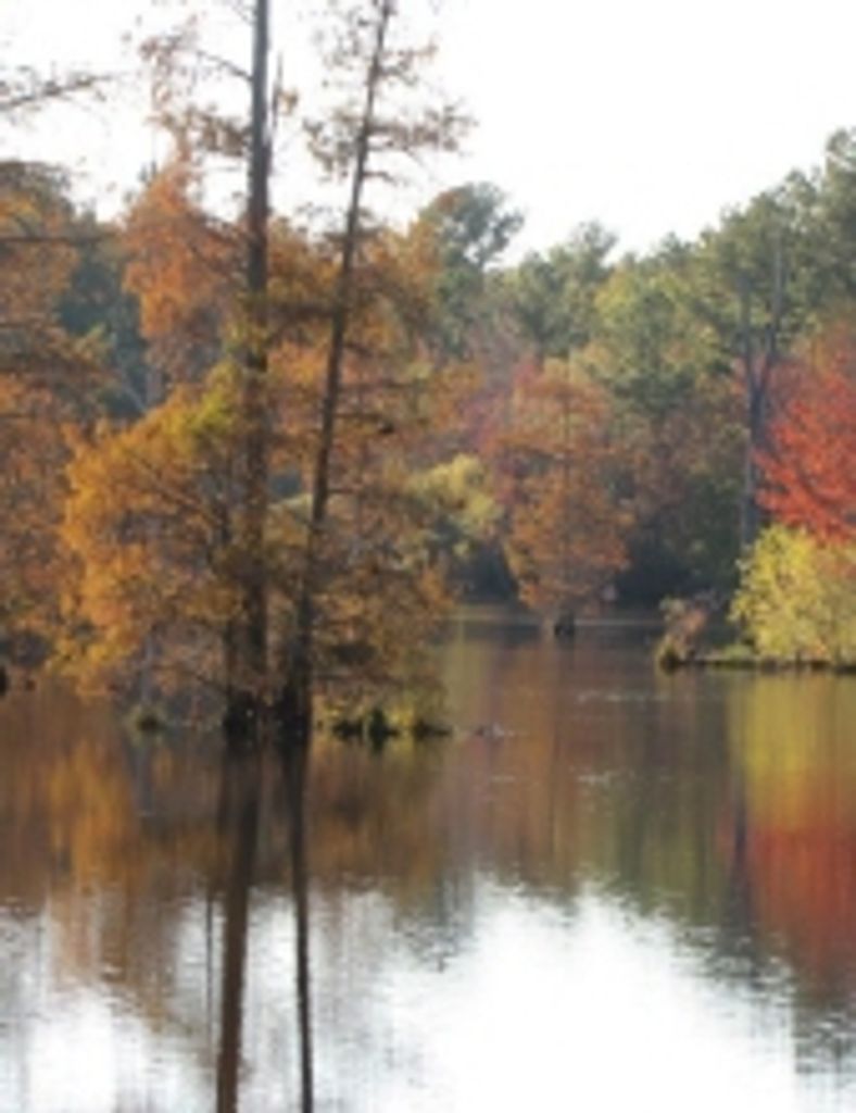 Florence Rose Robbins Ancarrow