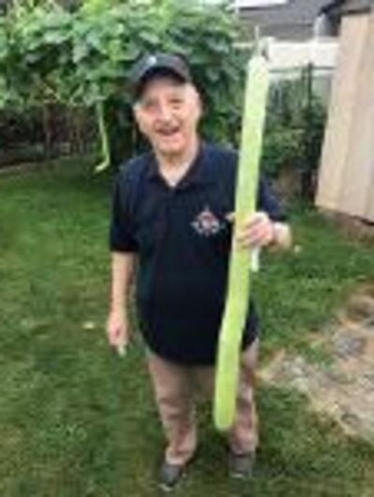 Vito Monteleone Profile Photo