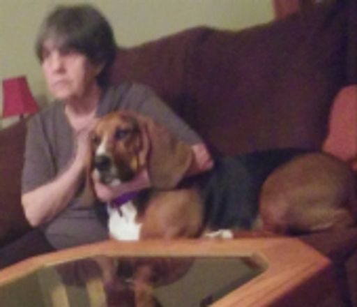 Janice L. Schuster photo gallery thumbnail 29 of 57