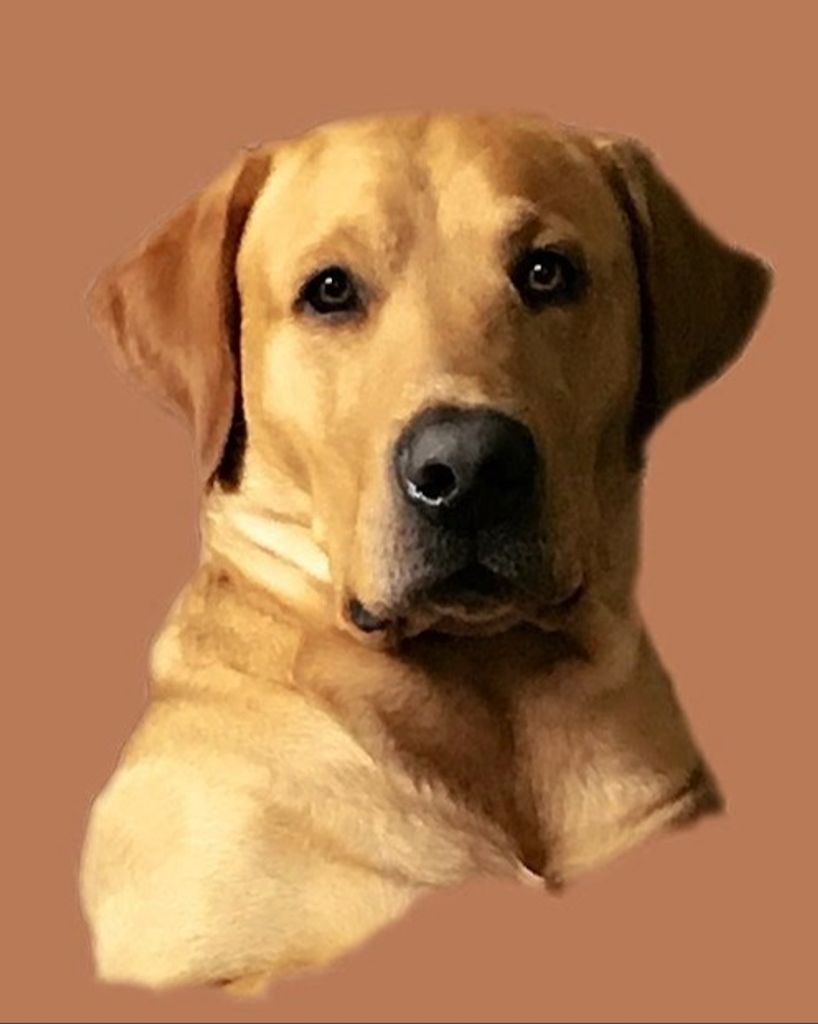 Gunner Allgeier Profile Photo