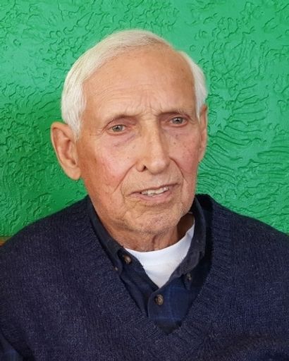 Donald R. Homer's obituary image