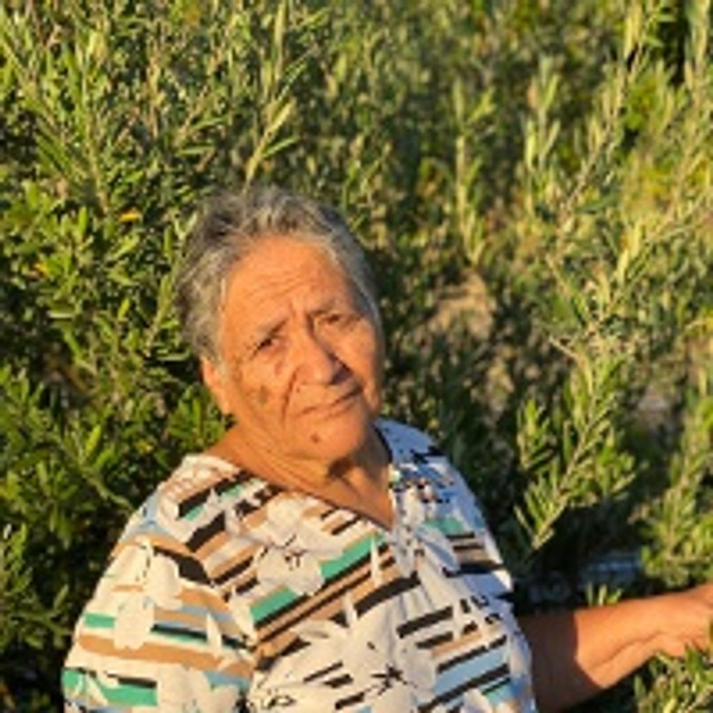 Guadalupe Sanchez Garcia