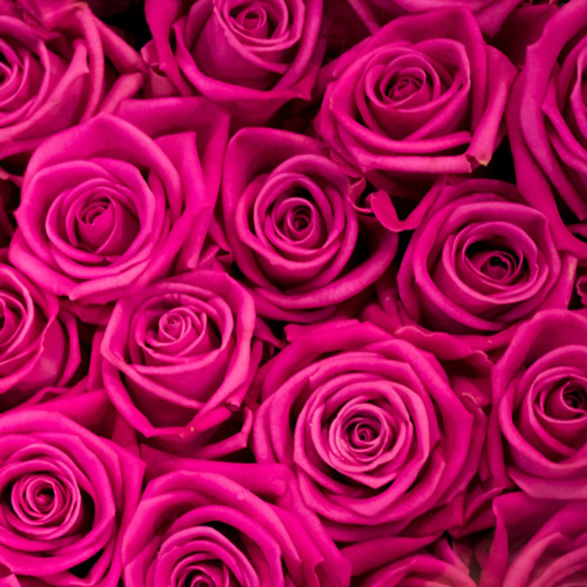 Cover photo for Faviola Guadalupe  Mendez, 33's Obituary