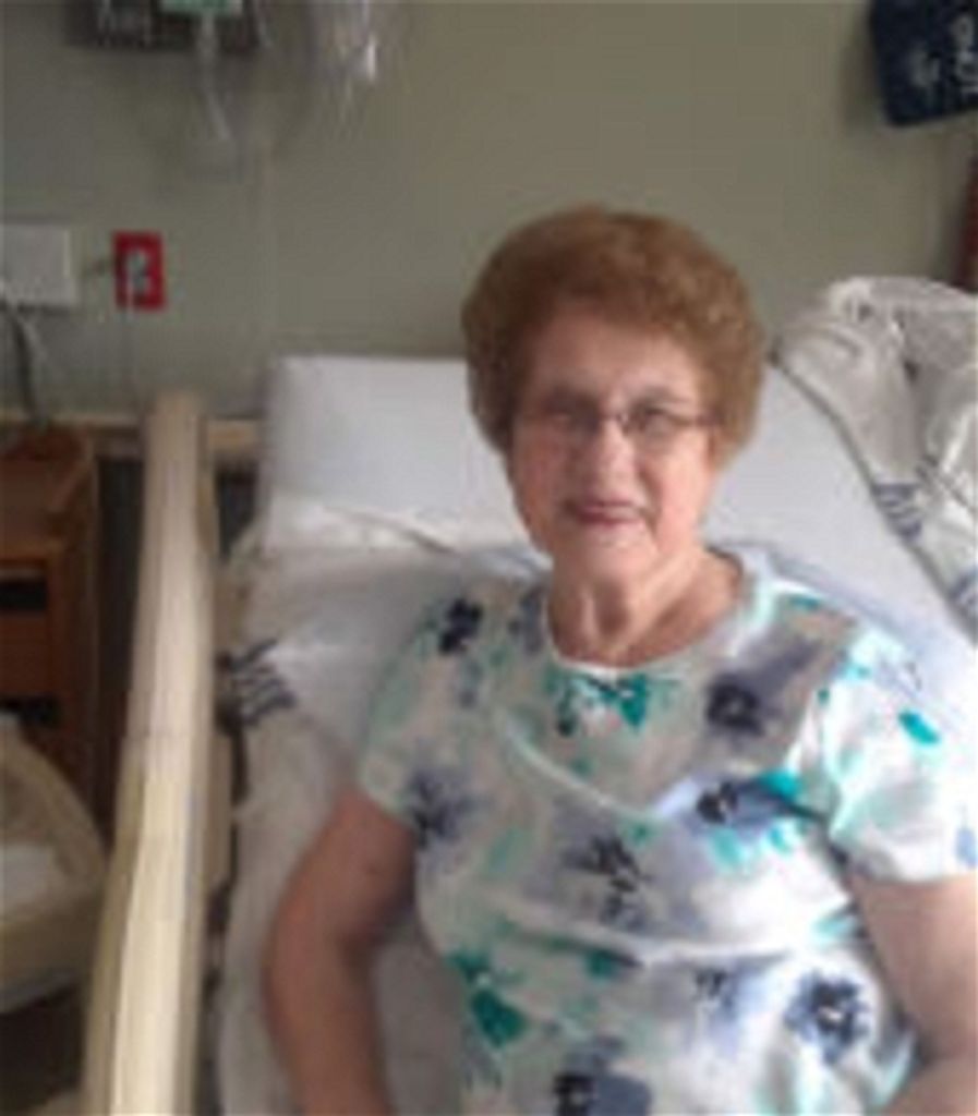 Shirley Ann Aimone Profile Photo