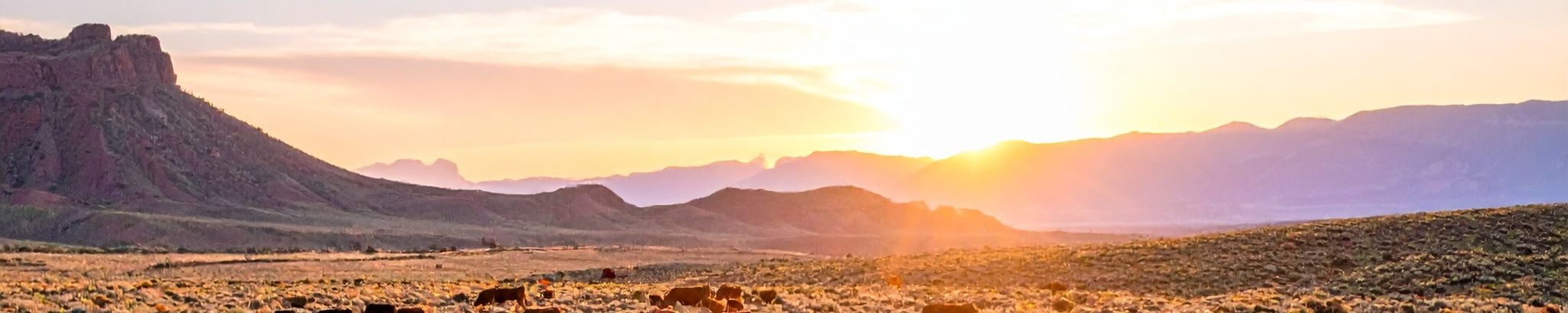 Cover for Rose Hart Spencer's Obituary