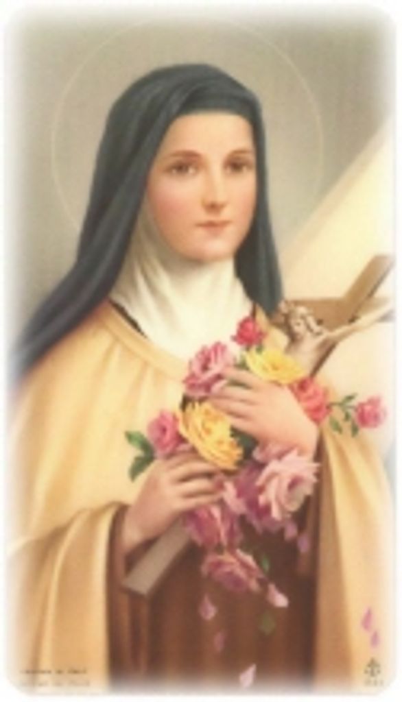 Theresa  Capozzolo Brueggen