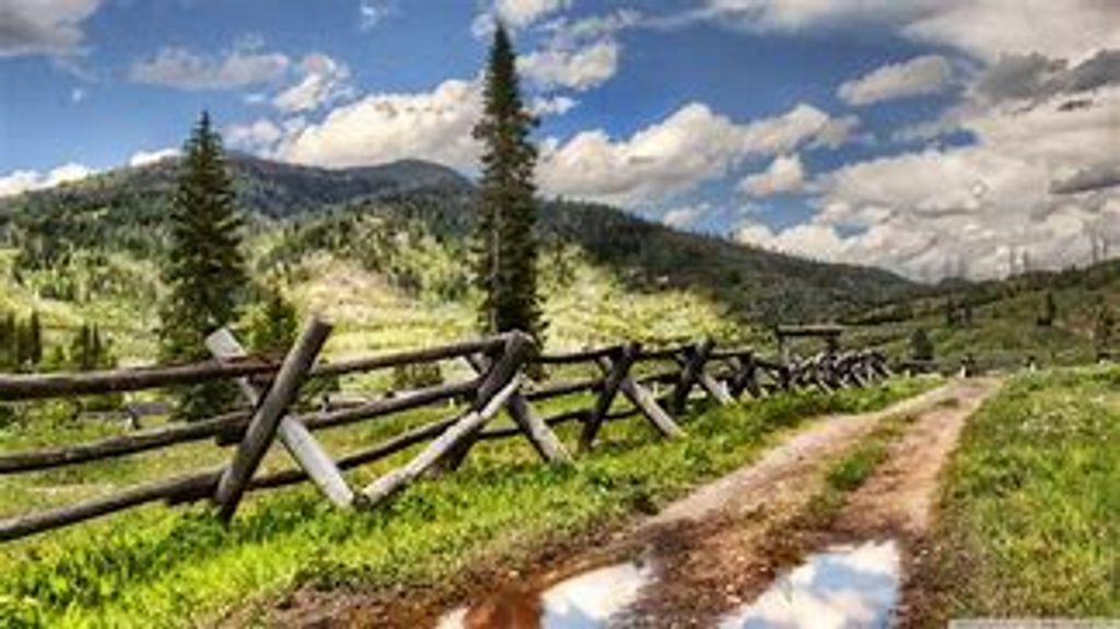 Eugenio Christino White