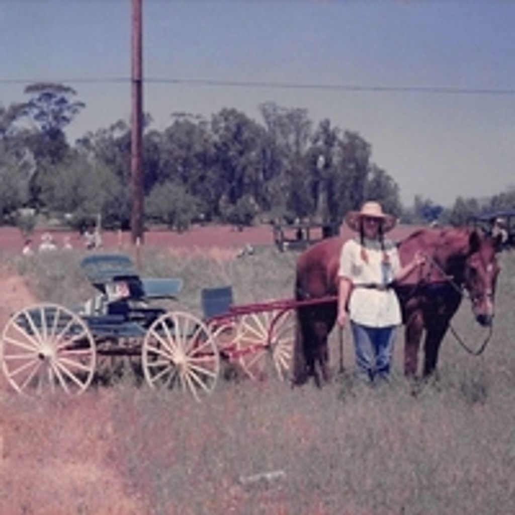 Cynthia Evelyn Edwards