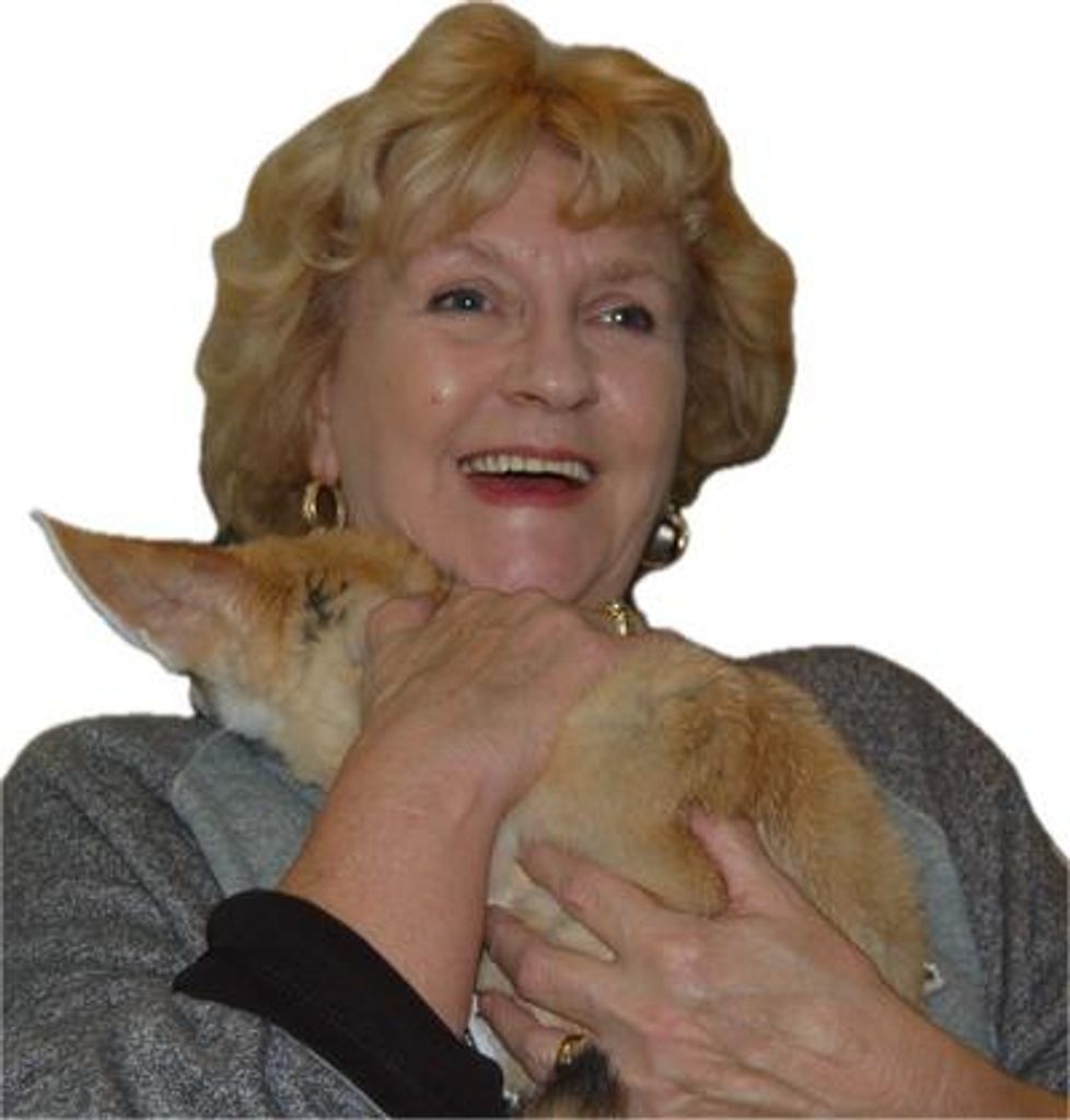 Constance "Connie" Hehner Profile Photo