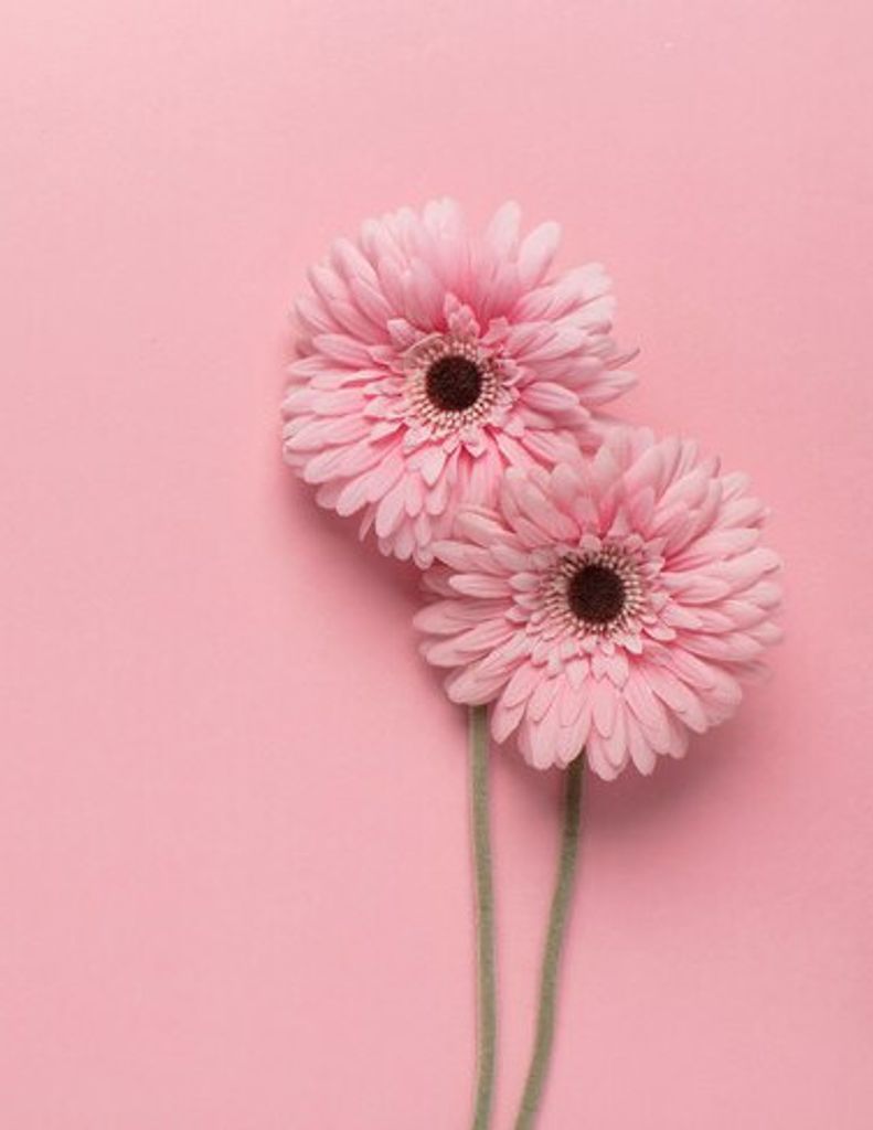 Luna Clay Marie Broughton