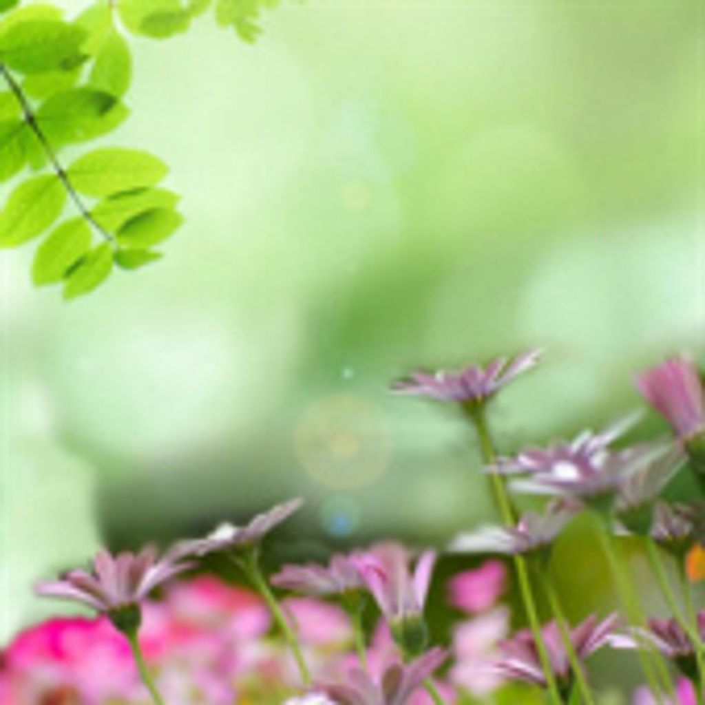 Sharon Kay Schilling