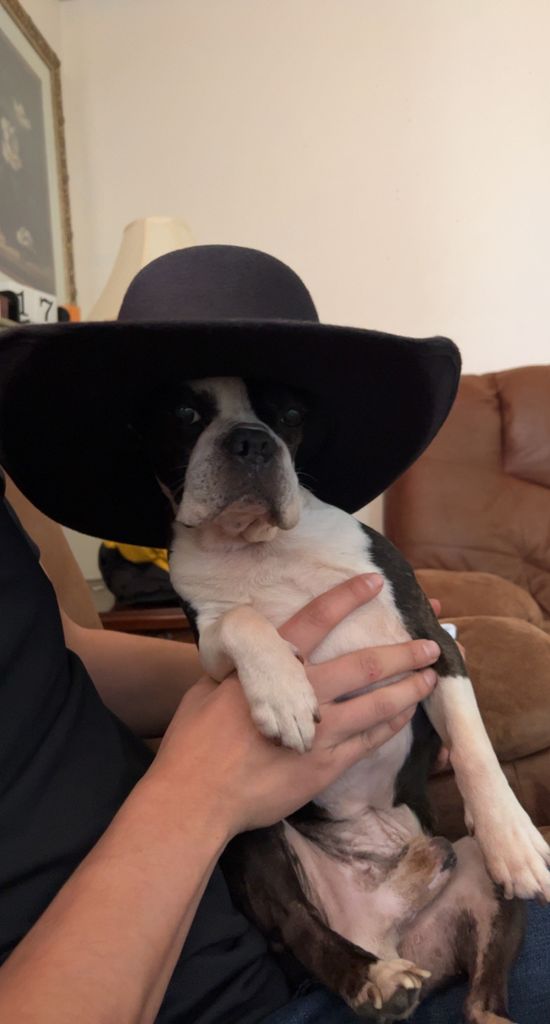 Conan Profile Photo