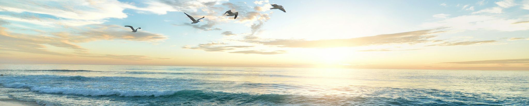 Cover for Lee Styron Jr.'s Obituary