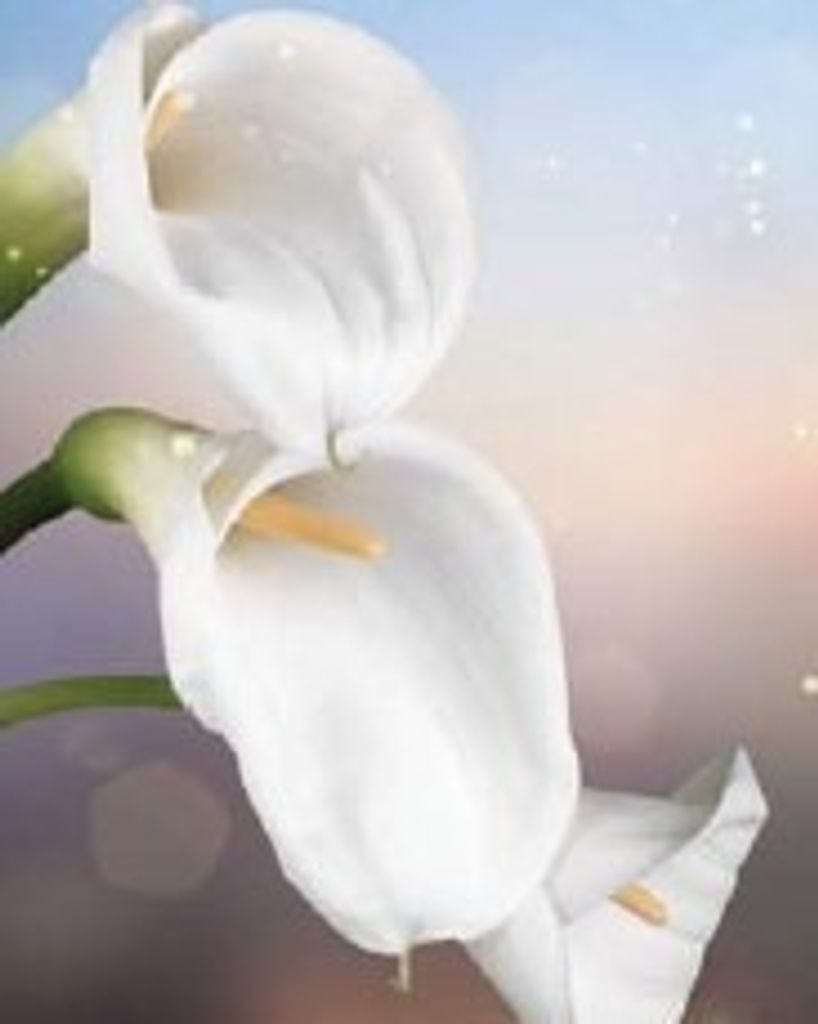 Maria Lo Re Profile Photo