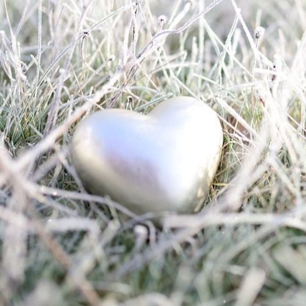 Florence Bensinger Profile Photo