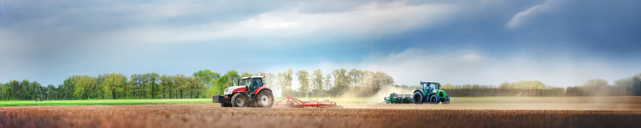 Cover for Phillip Arthur Mills's Obituary