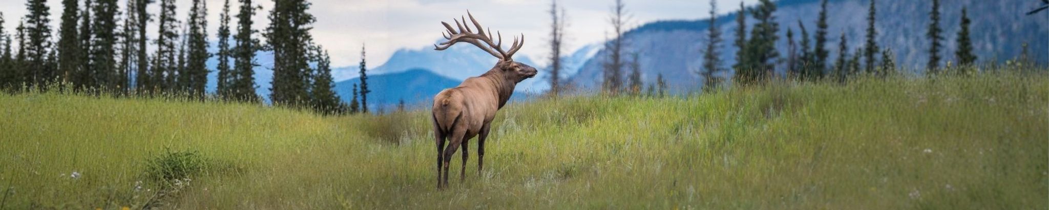 Cover for William Francis Bacon's Obituary