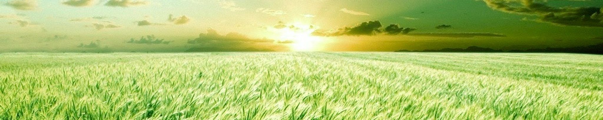 Cover photo for Kenneth Richard Long's Obituary