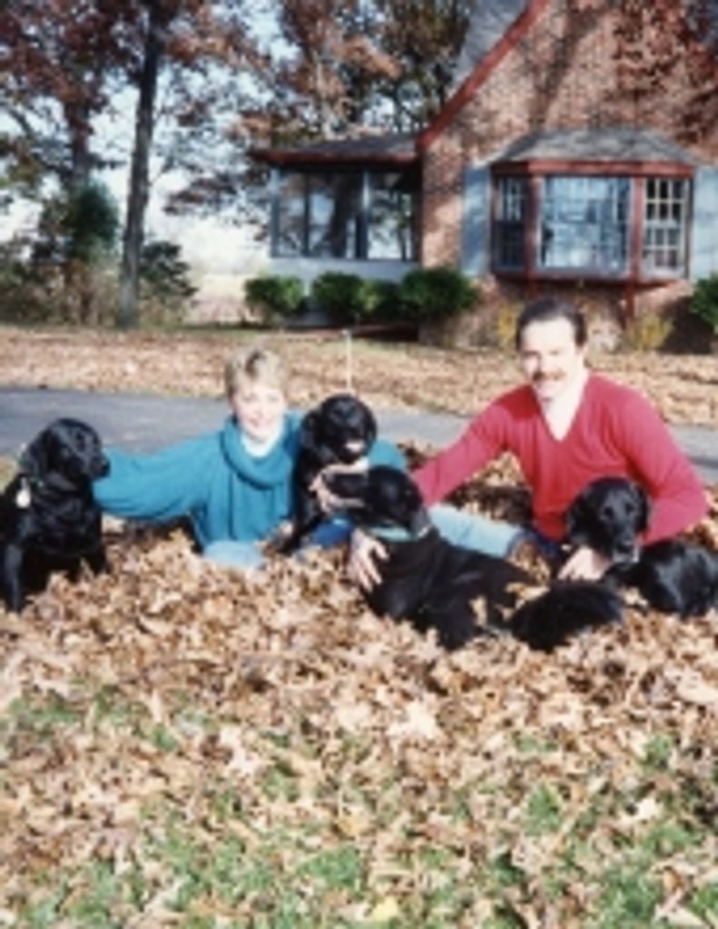 Gretchen A. Stevens Profile Photo