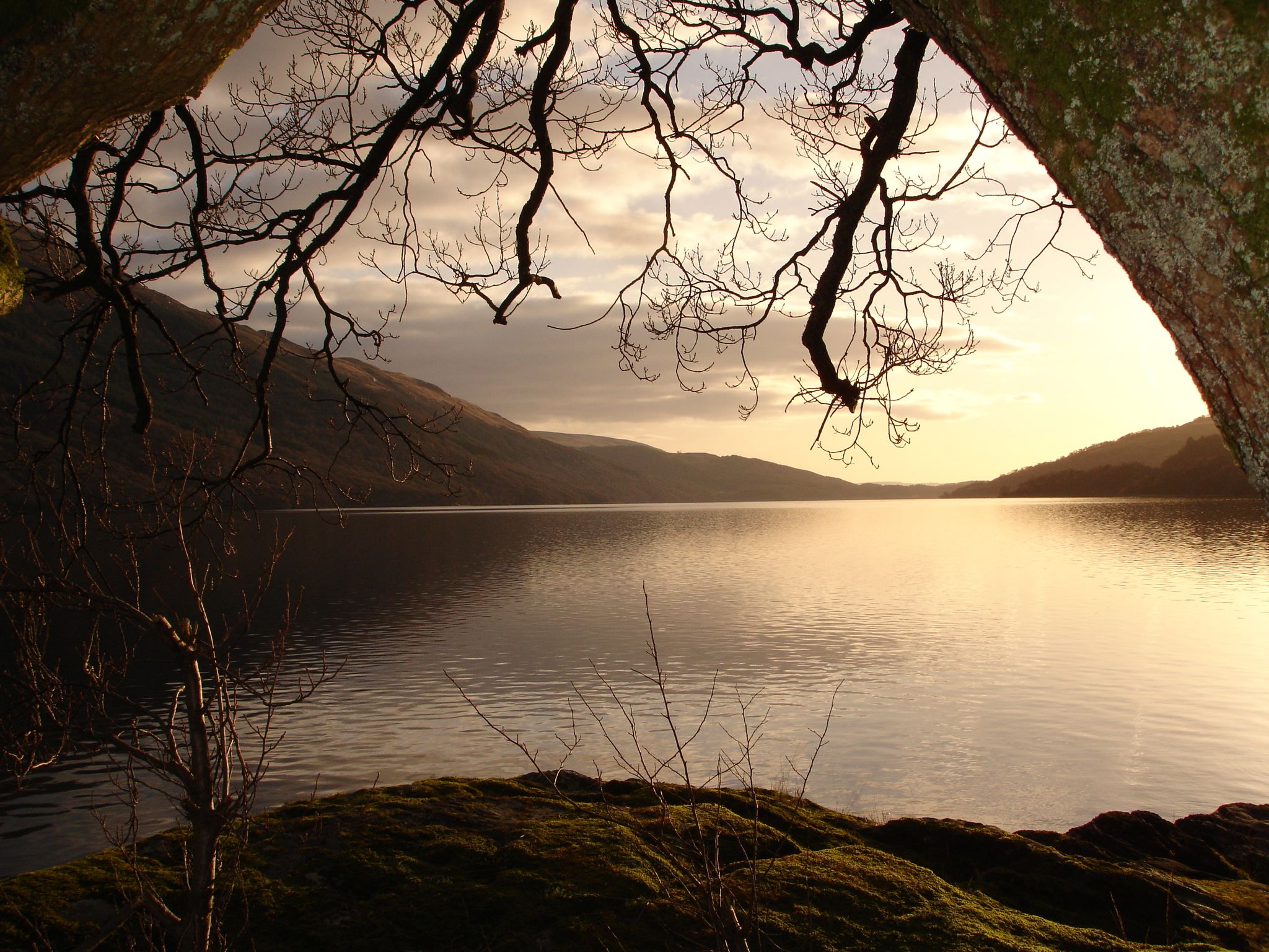 Cover photo for Lindsey Renée Hogan's Obituary
