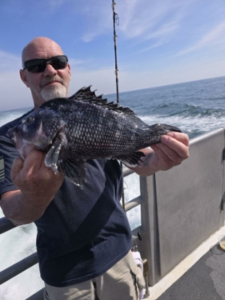 Darrin Lee Nicholl Profile Photo