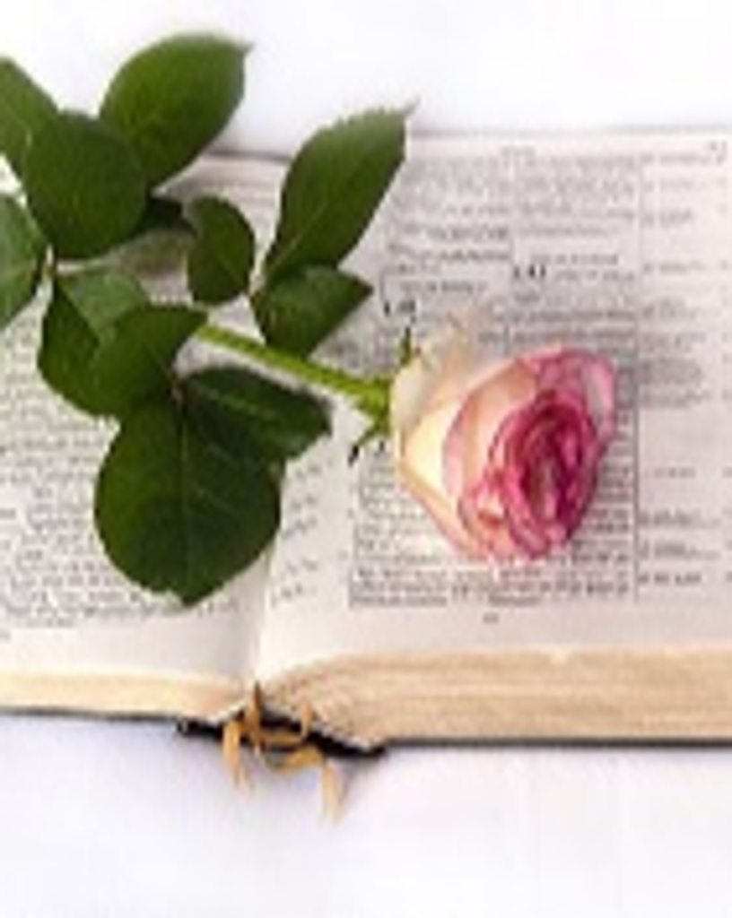 Kelley Elisa Wright Profile Photo