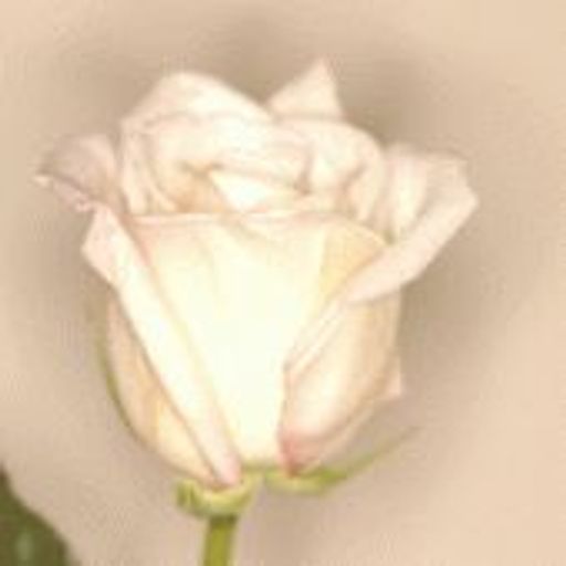 Myrtle Evelyn Nelson Profile Photo