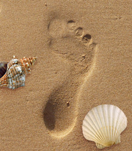 Deborah Parker Graham Profile Photo