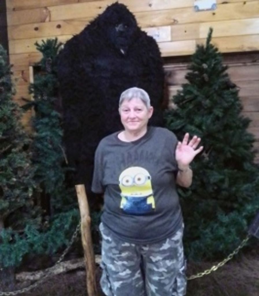 Obedale Lamb Profile Photo