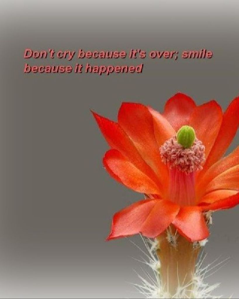 JODI MARIE WIGGINS McCLASKEY