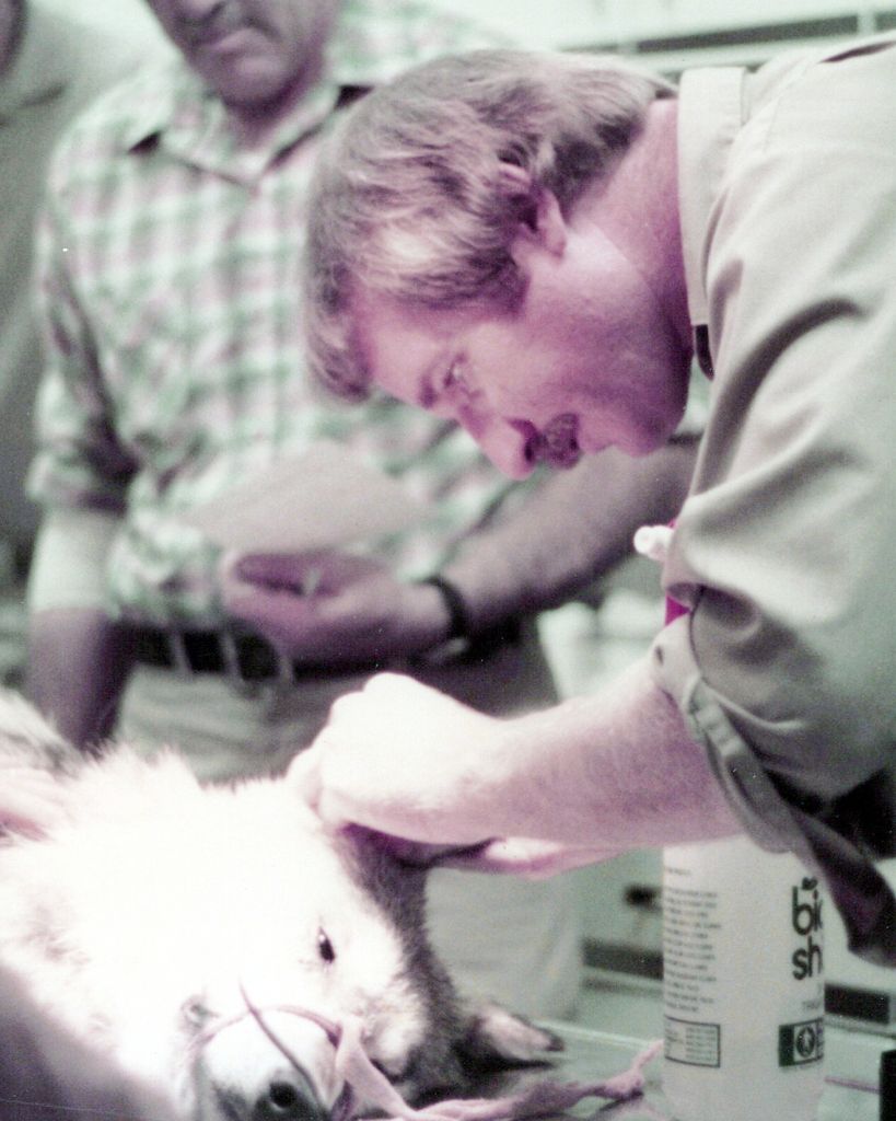 Gary M. Harwell