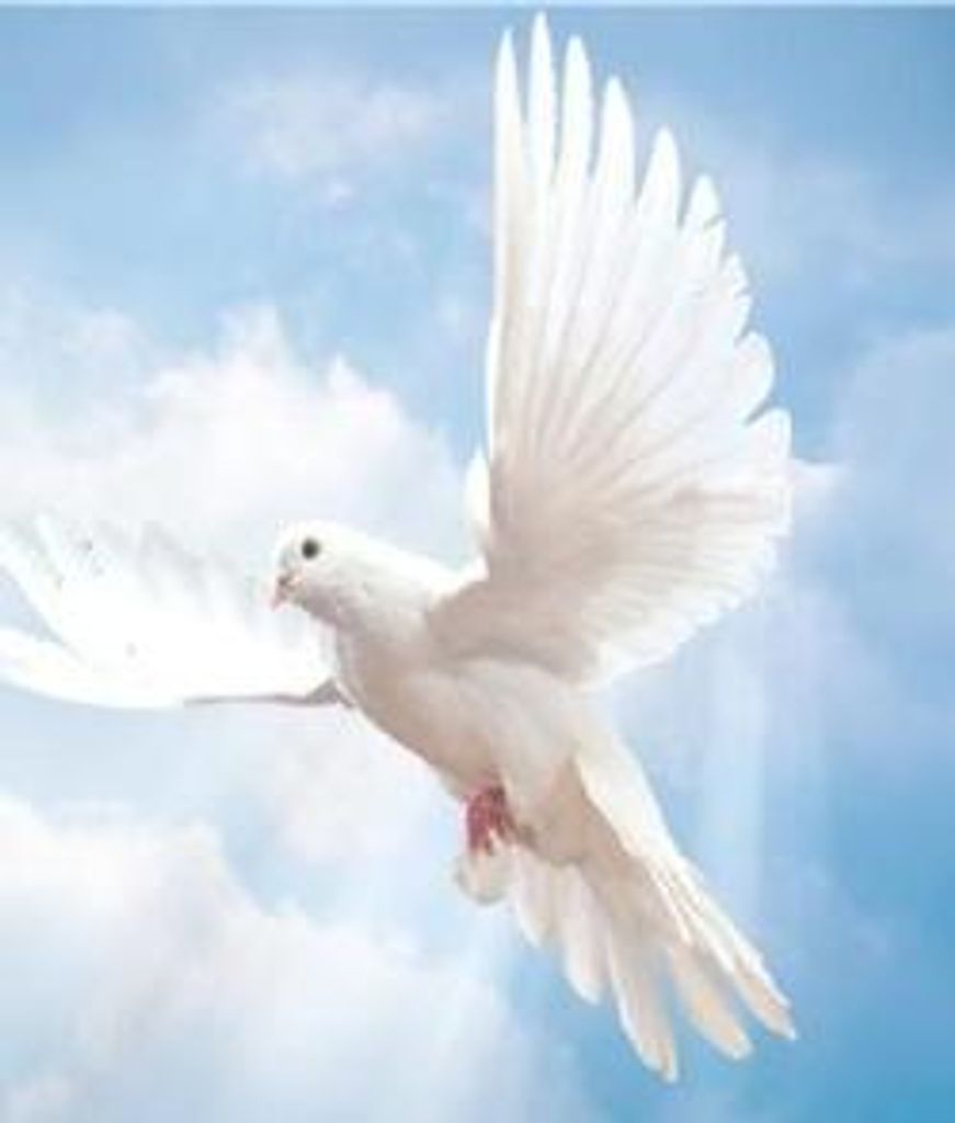 Lenton Browne Profile Photo