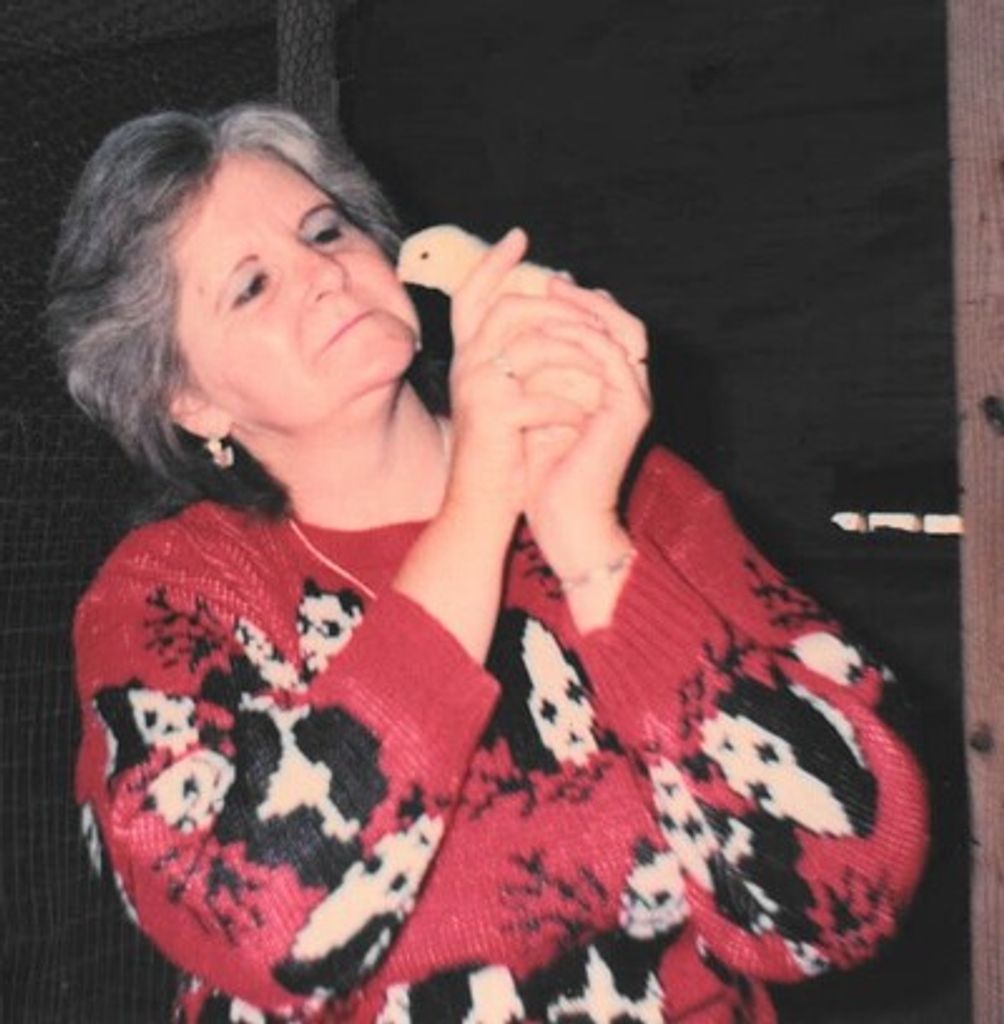 Marilyn Virginia Tilton Profile Photo