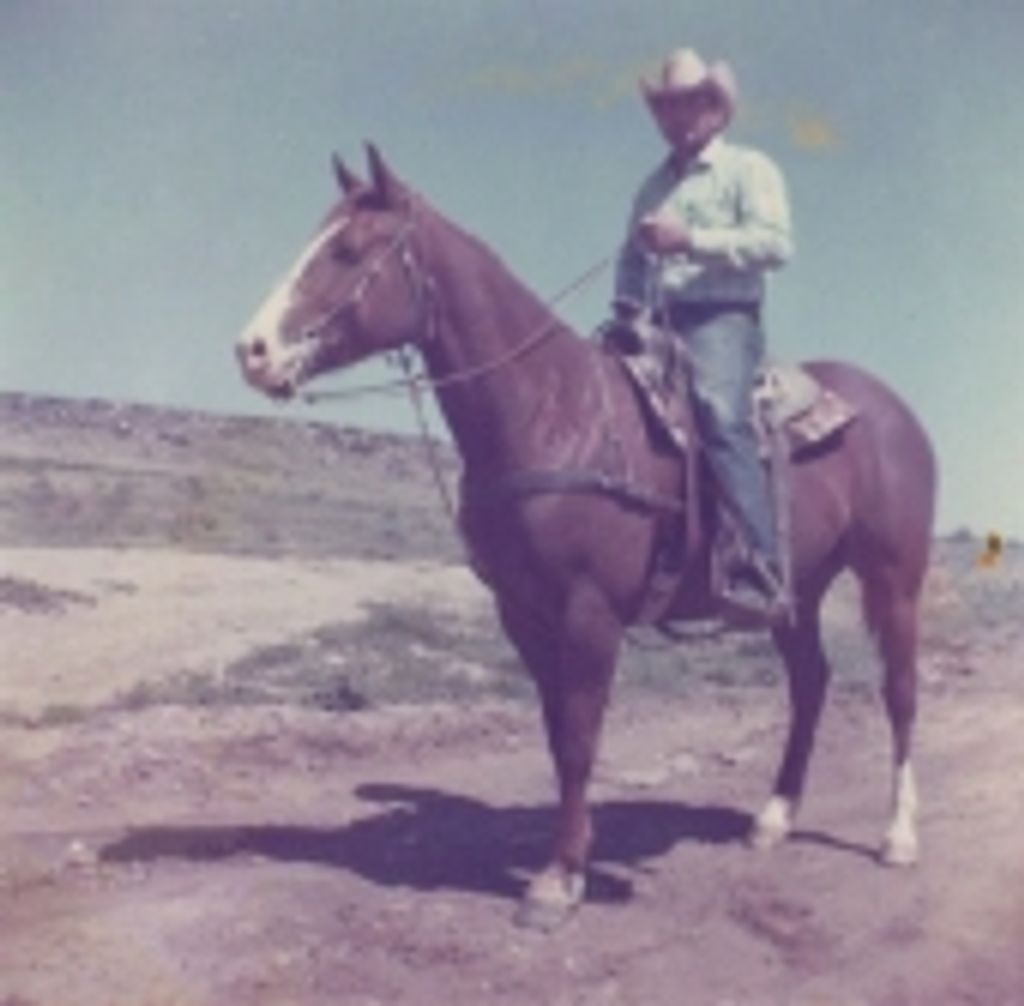 Benny Schibbelhut
