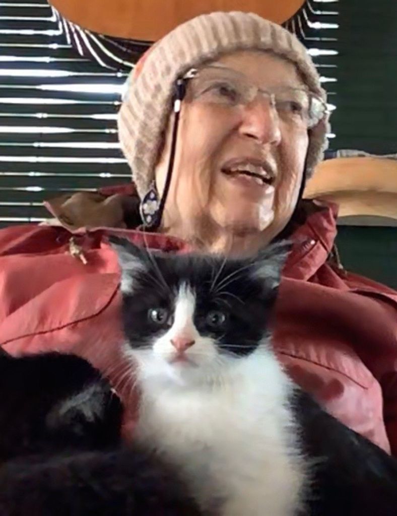 Jane Nelson Profile Photo