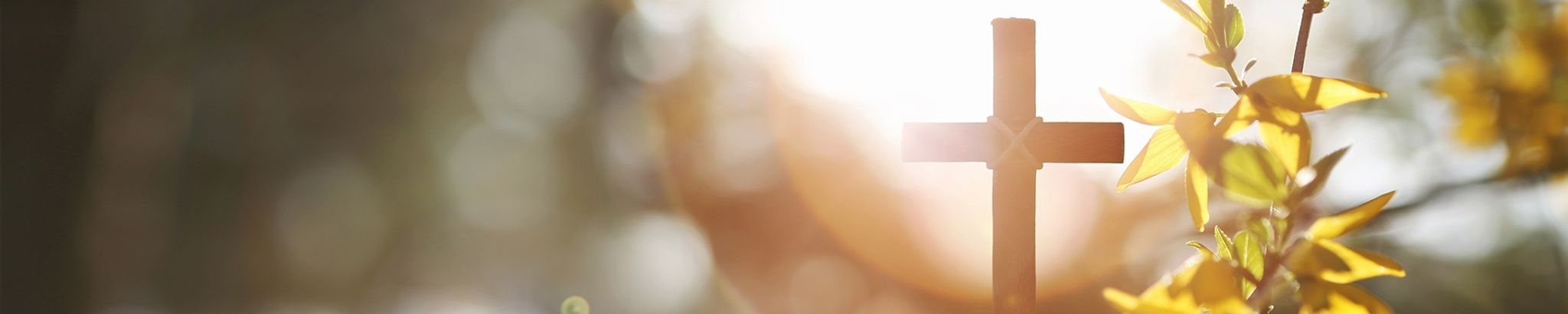 Cover for Robert Allen Bonesteel's Obituary