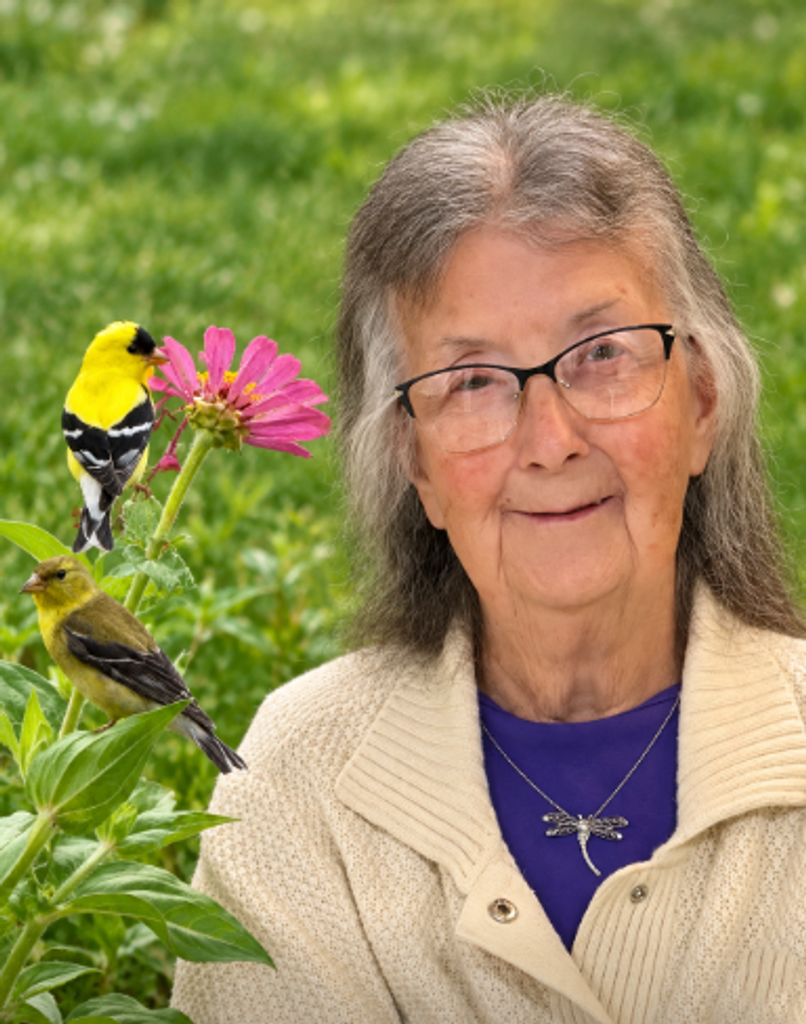 Phydellas Ann Muir