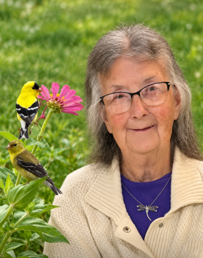 Phydellas Ann Muir's obituary image