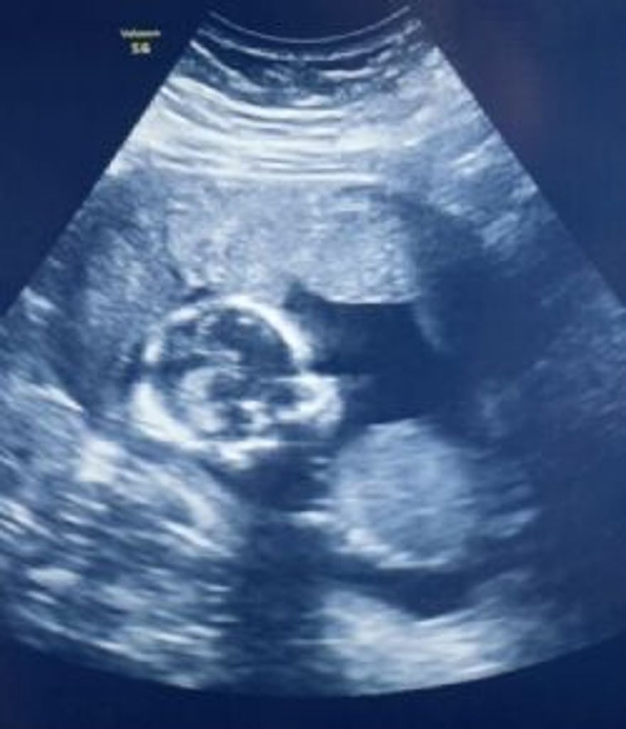 Amelia Salie Profile Photo